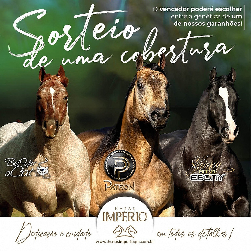 Bet Yer A Cat, Dual Patron